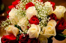 عکس-گل-زیبا-برای-تولد-13.jpg