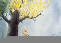 caricator-radsms-28.jpg