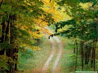 [www.MihanDownload.Com] (215).jpg
