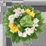 bloem12.gif