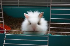 these_funny_animals_695_640_17.jpg