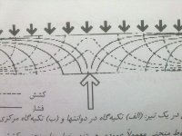 20111105257.jpg