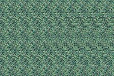 3674.jpg