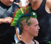 49444bfb99[1].jpg