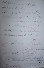 IMG_0106y.jpg