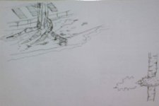 DSC07292.jpg