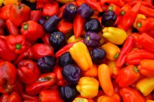 Capsicum_annuum.jpg