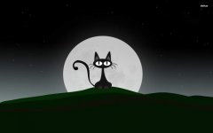 1873-black-cat-1920x1200-vector-wallpaper.jpg