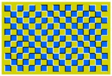 1196105549illusion12.jpg