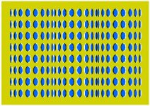 1196105549illusion13.jpg