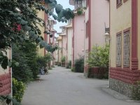 IMG_0282.jpg
