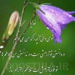 do.php?imgf=1405664385171.jpg