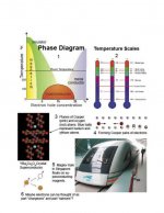 s-taillefer-infographic.jpg