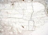 ارتوکلاز در نور طبیعی.jpg