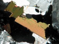 بیوتیت در نور پلاریزه.jpg