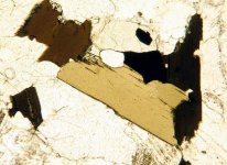 بیوتیت در نور طبیعی.jpg