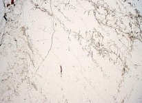 میکروکلین در نور طبیعی.jpg