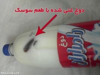 xyrkq94l844frrreiajh.jpg