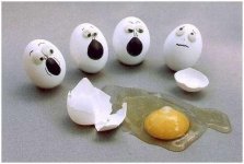 funny-eggs-1.jpg