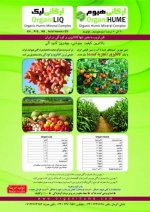 catalog-2687-1.jpg
