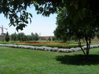 DSCN6511.jpg