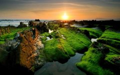 moss-coast-sunset.jpg