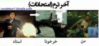 ترول-استاد.jpg