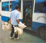 Picture2.jpg