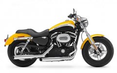 Harley-Davidson-Xl-1200-Custom-2012-Yellow-720x1152.jpg