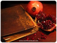 shabe-yalda.jpg