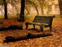 Old_Bench1024_768.jpg
