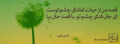 1484132863-parsnaz-ir.jpg