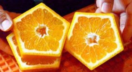 Did-you-ever-seen-an-orange-five-sided-See-It-Now-PHOTOS.jpg