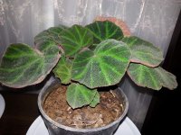 20140614_002333.jpg