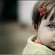 majid63