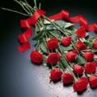 پارمیدا 10