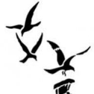 hamed_iraneng