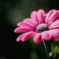 emad23