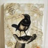 bird13