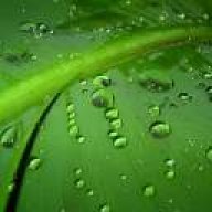 parisa_1366