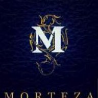 morteza-gh