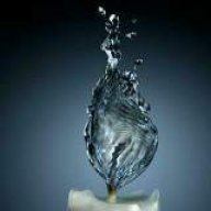 Ali_7