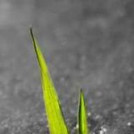 EEnvironmenTT