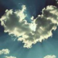 alimajd