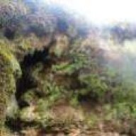 miladpo