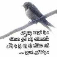 ahoura0917