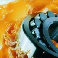 علی اکبر رهنما
