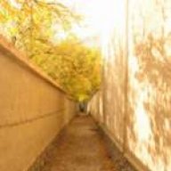 Mohsen_Archi