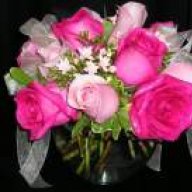 salehi.z