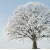 بهزاد بادسار